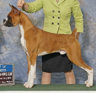 Dealer BOW 5 mo crop